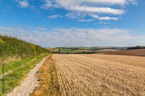 A pathway through farmland in the South Downs in Sussex