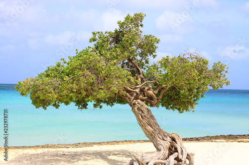 Aruba, Caribbean sea