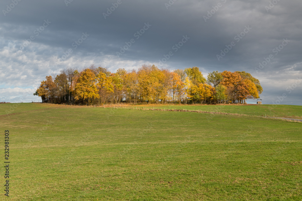 Herbst im Hennefer Hanfbachtal
