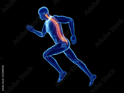 3d rendered illustration of a joggers spine © Sebastian Kaulitzki