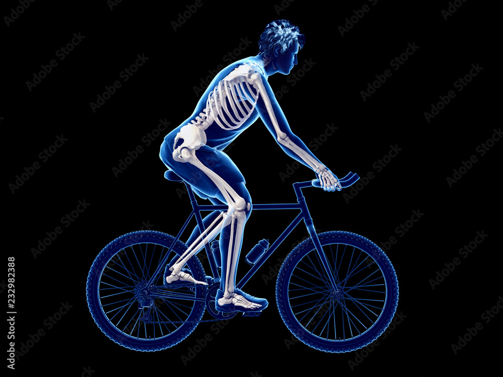 Naklejka premium 3d rendered illustration of a cyclists skeleton