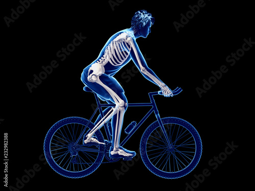 Fototapeta Naklejka Na Ścianę i Meble -  3d rendered illustration of a cyclists skeleton