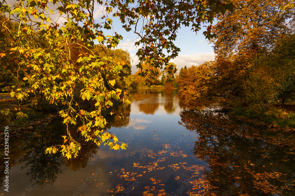 Obraz premium Herbst