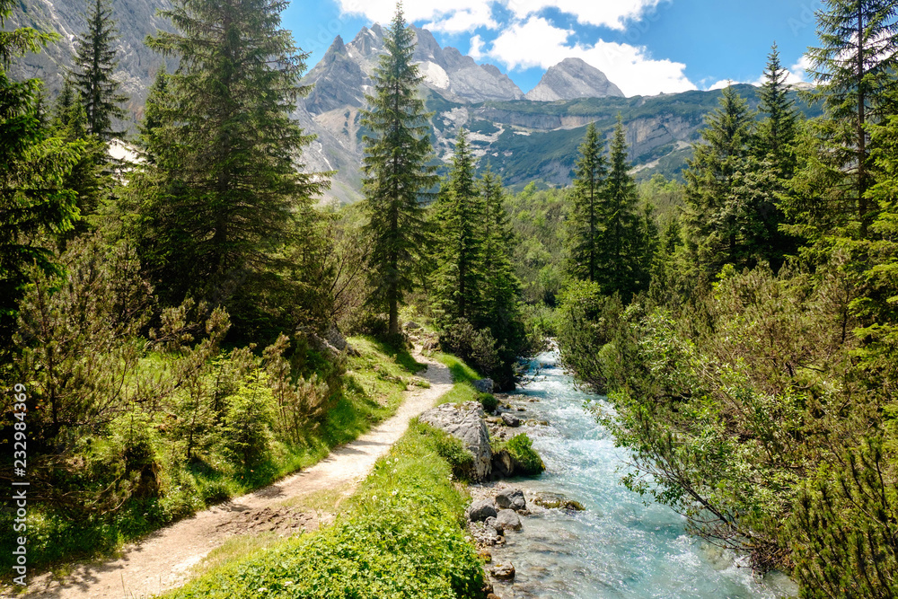 Obraz premium Gebirgsbach am Wanderweg
