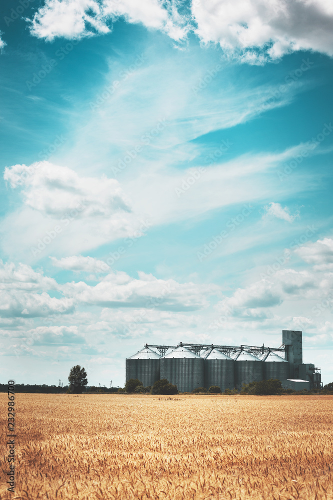 Fototapeta premium the grain elevator