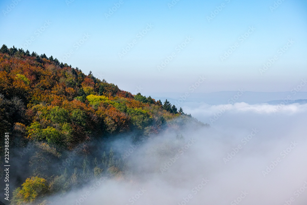 Nebel umzingelt einen Berg mit farbigen Blättern