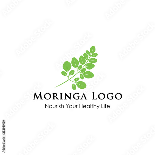 Moringa logo design inspiration