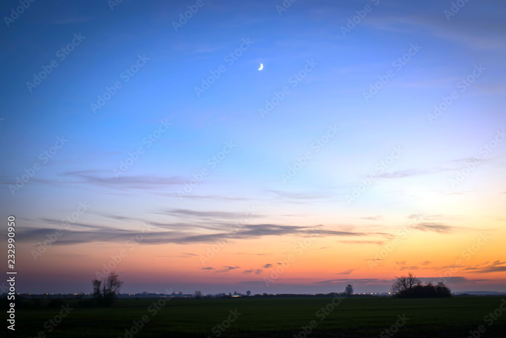 Sunset in field with small plants and moon