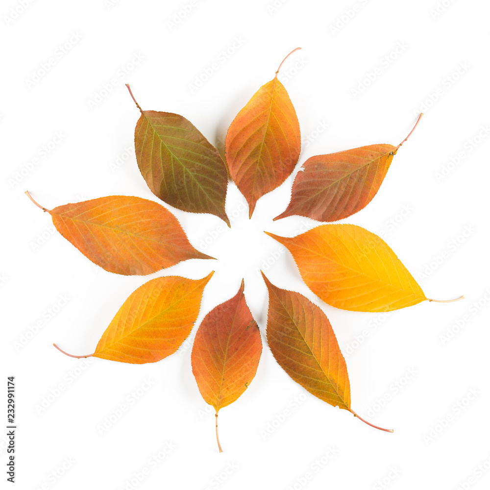 Obraz premium Beautiful Autumn Leaf Circle Background. Collection of Autumn