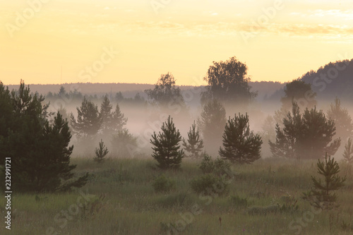 fog in the field at sunrise