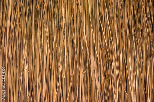 background texture from dried palm leaves