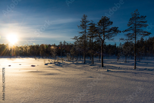 Wallpaper Mural Winterstimmung in Schweden Torontodigital.ca