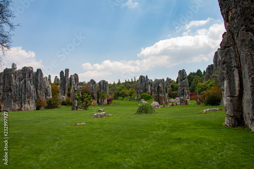 Stone forest china photo