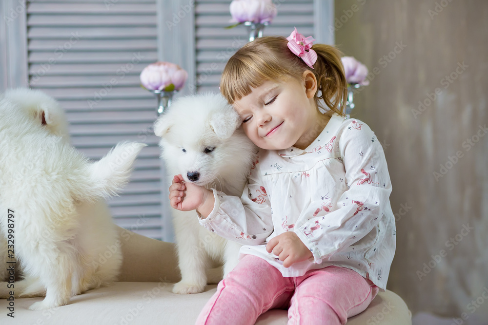 Girl with a samed dog puppy enjoy time together posing in studio shoot wearing tender color dress Girl with a samed dog puppy enjoy time together posing in studio shoot wearing tender color dress