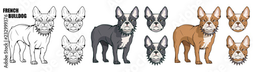 french bulldog, pet logo, dog french bulldog, colored pets for design, french bulldog puppy, colour illustration suitable as logo or team mascot, dog illustration, vector graphics to design