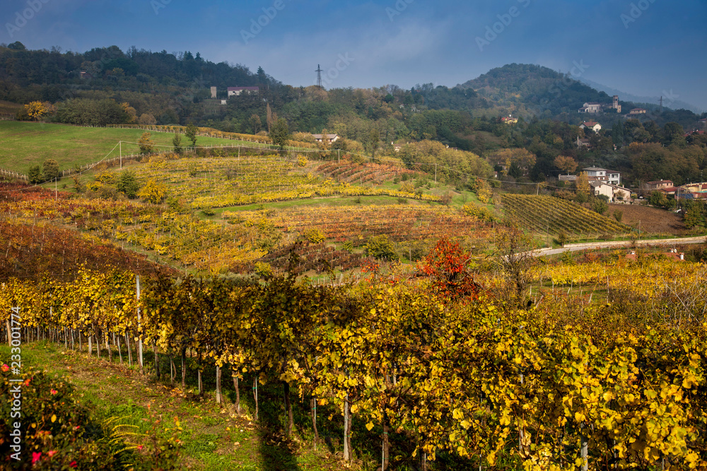 Italia, Colli Euganei, vigneti e campagna in autunno.