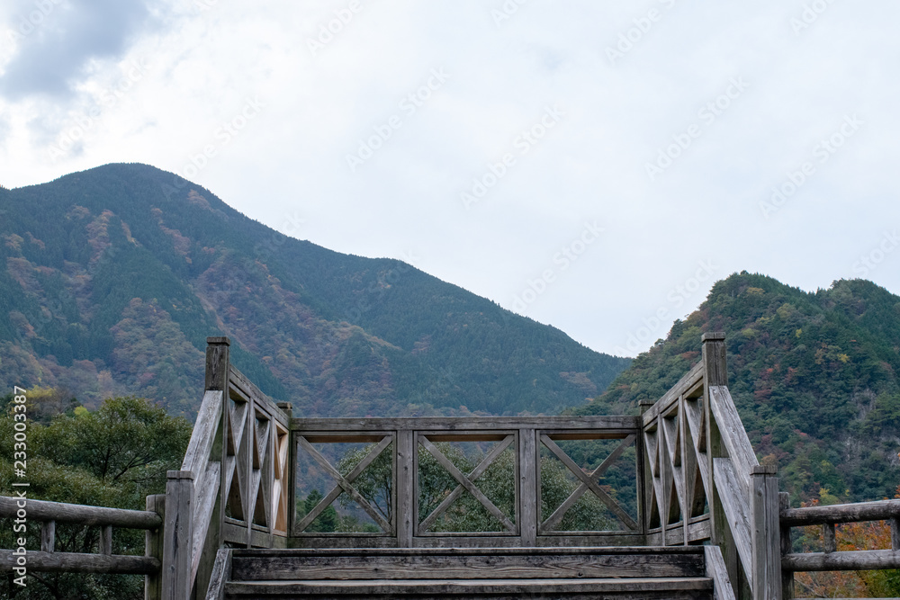 Fototapeta premium 祖谷渓谷