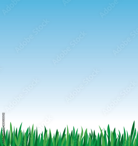 Green grass on a background of blue sky stock vector illustration