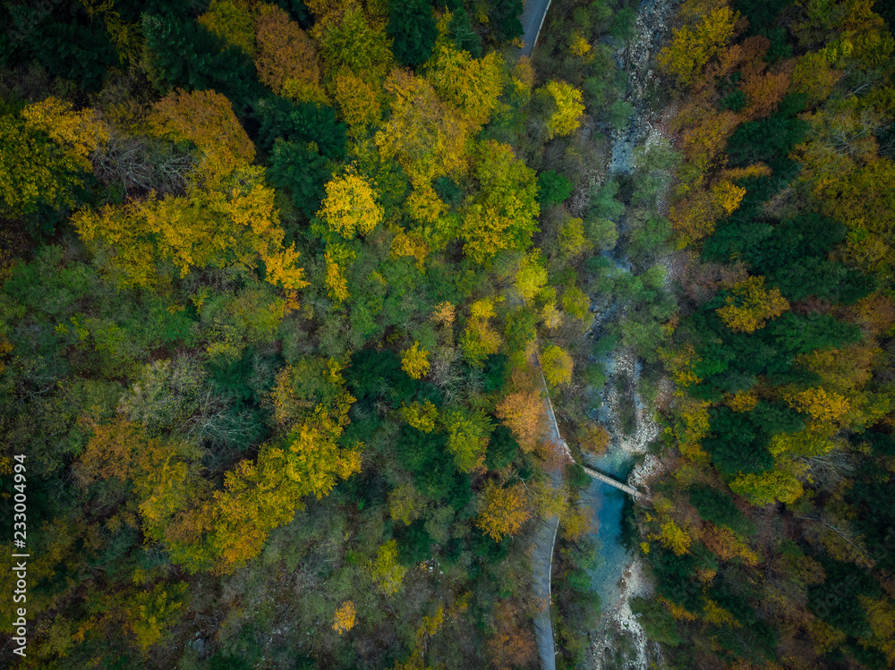 Aerial view of Divje JEzero or Wild Lake in Slovenia thick forest
