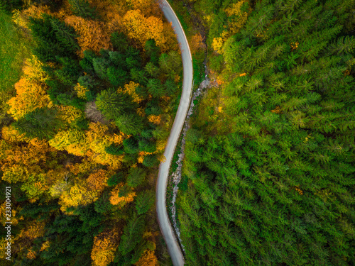 Colorful forest and curvy road, aerial drone view from above © marcin jucha