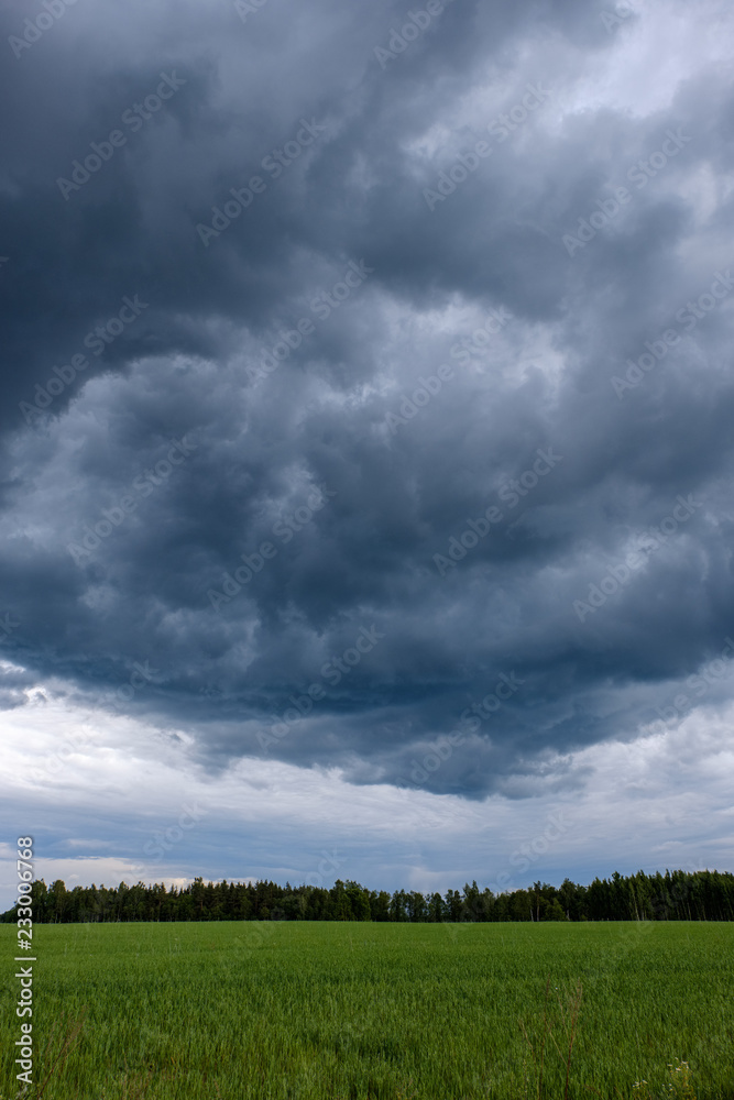 contrast rain storm clouds over green meadow and some trees in summer contrast rain storm clouds over green meadow and some trees in summer