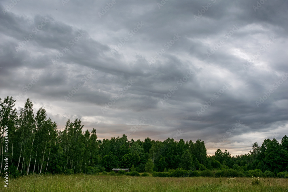 contrast rain storm clouds over green meadow and some trees in summer contrast rain storm clouds over green meadow and some trees in summer