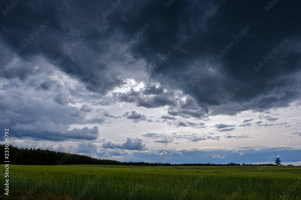contrast rain storm clouds over green meadow and some trees in summer contrast rain storm clouds over green meadow and some trees in summer