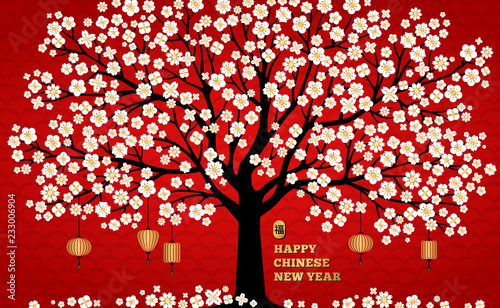 Cherry blossom background