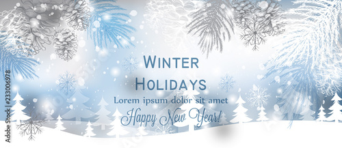 Winter background snowflakes Vector. Blue and gray snowflakes frozen decors