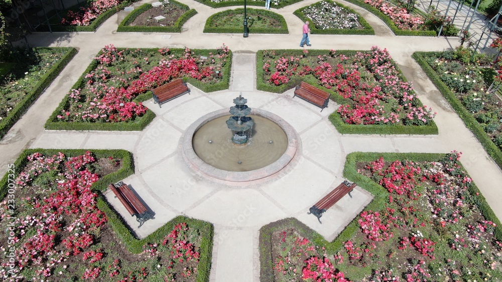 Aerial picture of a rose garden