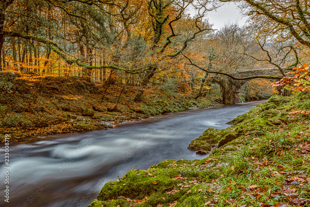 Autumn colours along the River Dart, Devon Autumn colours along the River Dart, Devon