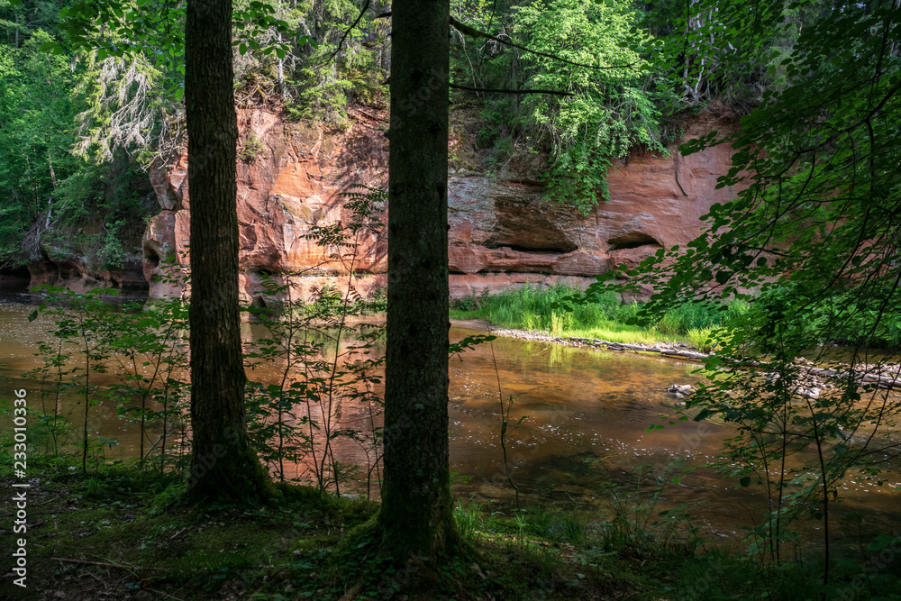 rocky stream of river deep in forest in summer green weather with sandstone cliffs rocky stream of river deep in forest in summer green weather with sandstone cliffs