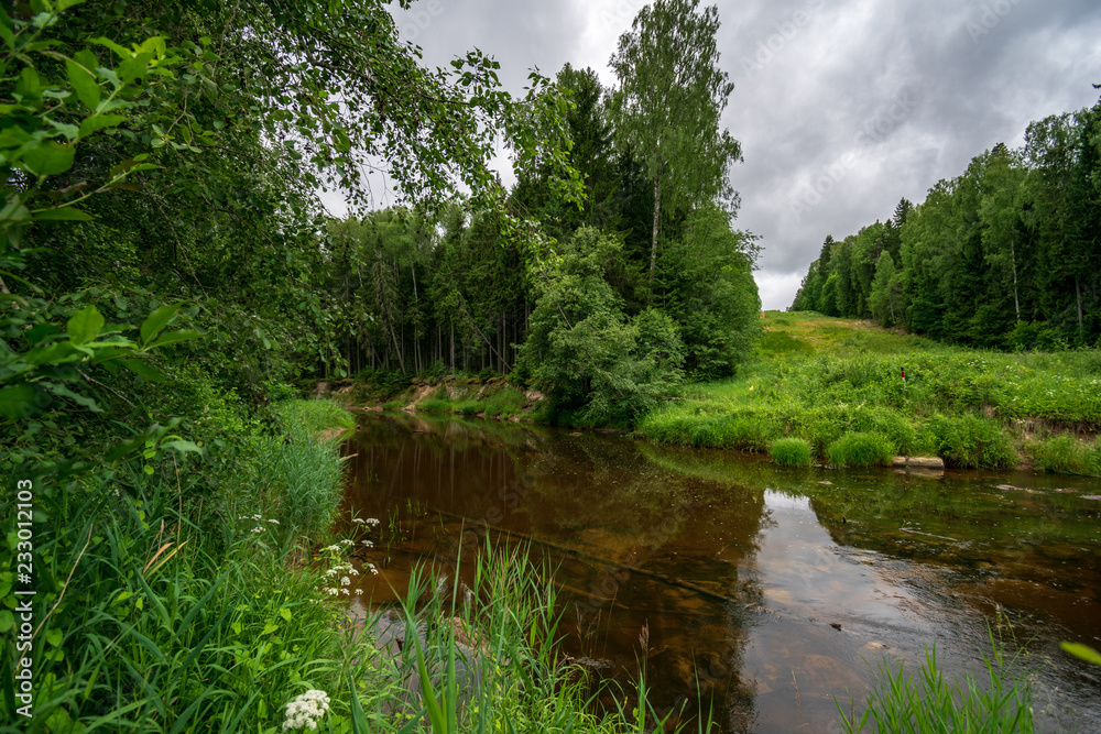 Fototapeta premium rocky stream of river deep in forest in summer green weather with sandstone cliffs