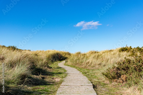 Der Weg zum Strand