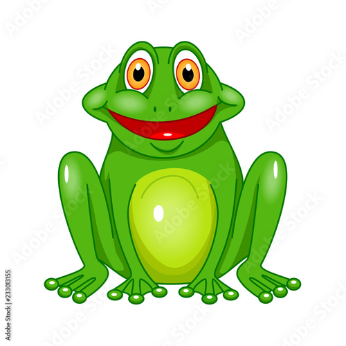 vector green frog on white background