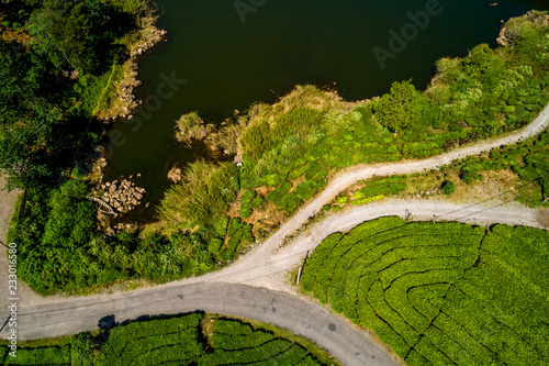 Aerial View of the Road that Splits Walini Green Lush Tea Plantation, Rancabali, Ciwidey, Bandung, West Java, Indonesia