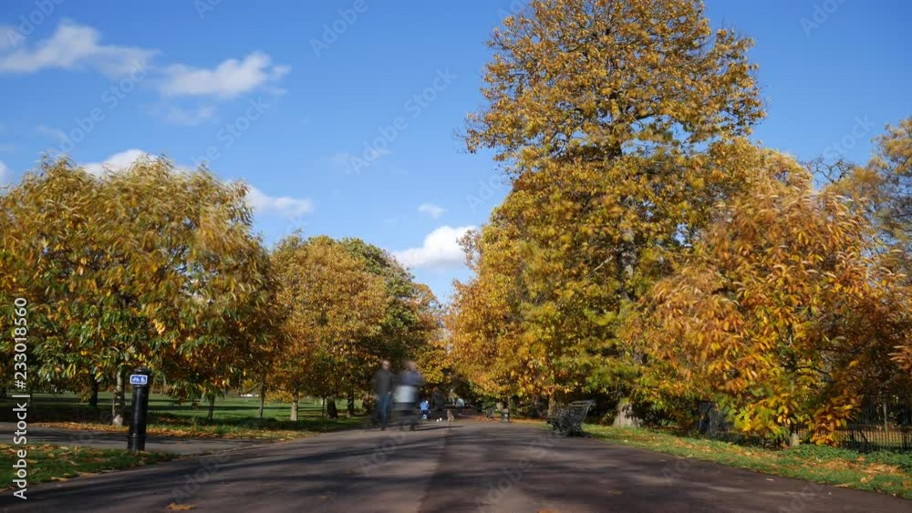 Time lapse. A pathway in a park in autumn with trees on both sides. Time lapse. A pathway in a park in autumn with trees on both sides.