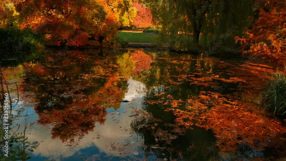 Cinematic shot of an autumn forest by a lake taken during the golden hour sunset. Hues of red, scarlet and yellow can be seen Cinematic shot of an autumn forest by a lake taken during the golden hour sunset. Hues of red, scarlet and yellow can be seen