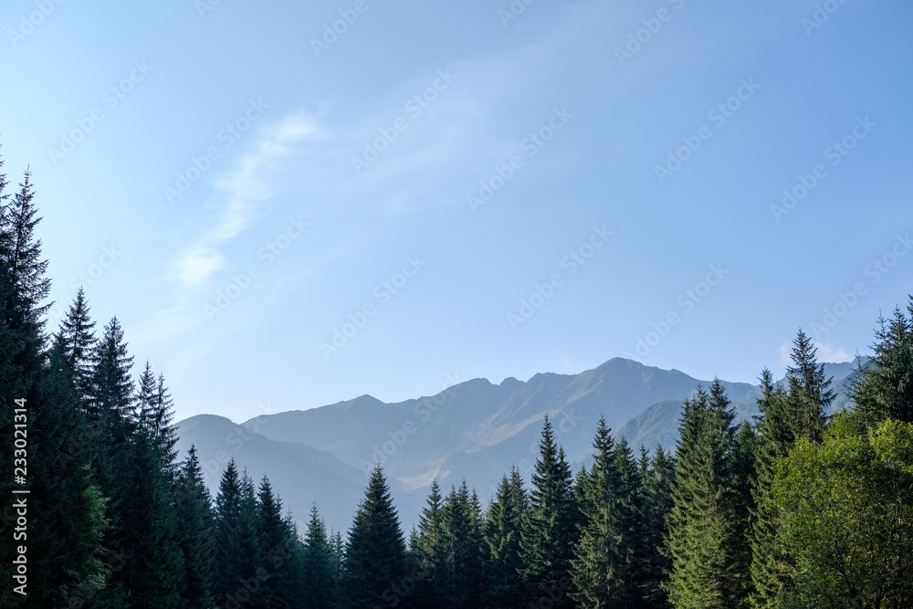 western carpathian Tatra mountain skyline with green fields and forests in foreground