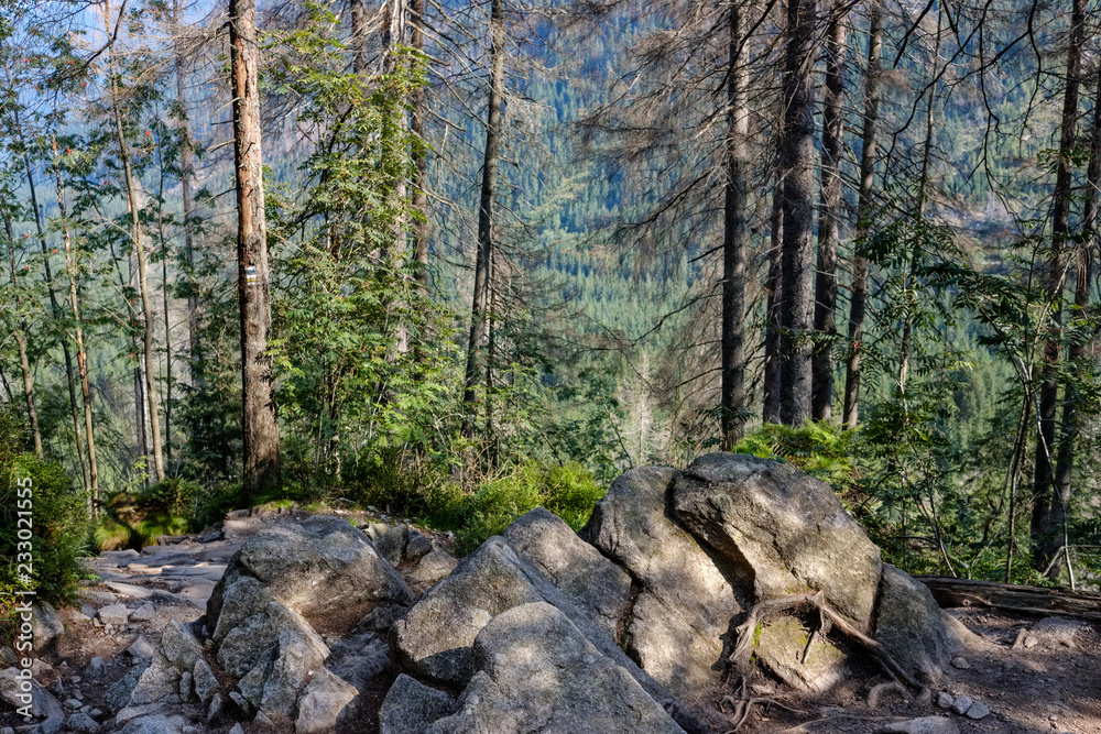 rocky hiking trails for tourists in western carpathian Tatra mountains in slovakia rocky hiking trails for tourists in western carpathian Tatra mountains in slovakia