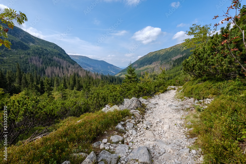 western carpathian Tatra mountain skyline with green fields and forests in foreground western carpathian Tatra mountain skyline with green fields and forests in foreground