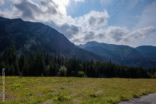 Fototapeta Naklejka Na Ścianę i Meble -  western carpathian Tatra mountain skyline with green fields and forests in foreground