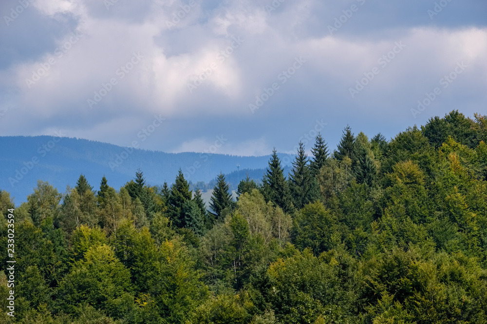 western carpathian Tatra mountain skyline with green fields and forests in foreground