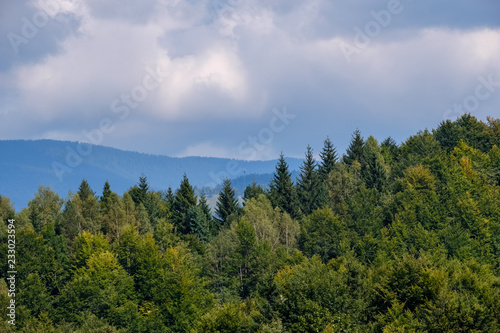 western carpathian Tatra mountain skyline with green fields and forests in foreground