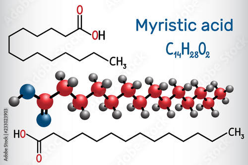 Myristic (tetradecanoic) acid molecule. It is saturated fatty acid. Structural chemical formula and molecule model