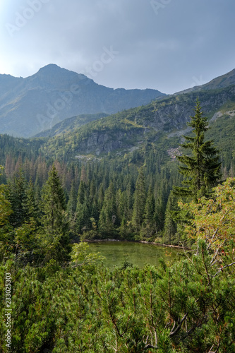 western carpathian Tatra mountain skyline with green fields and forests in foreground