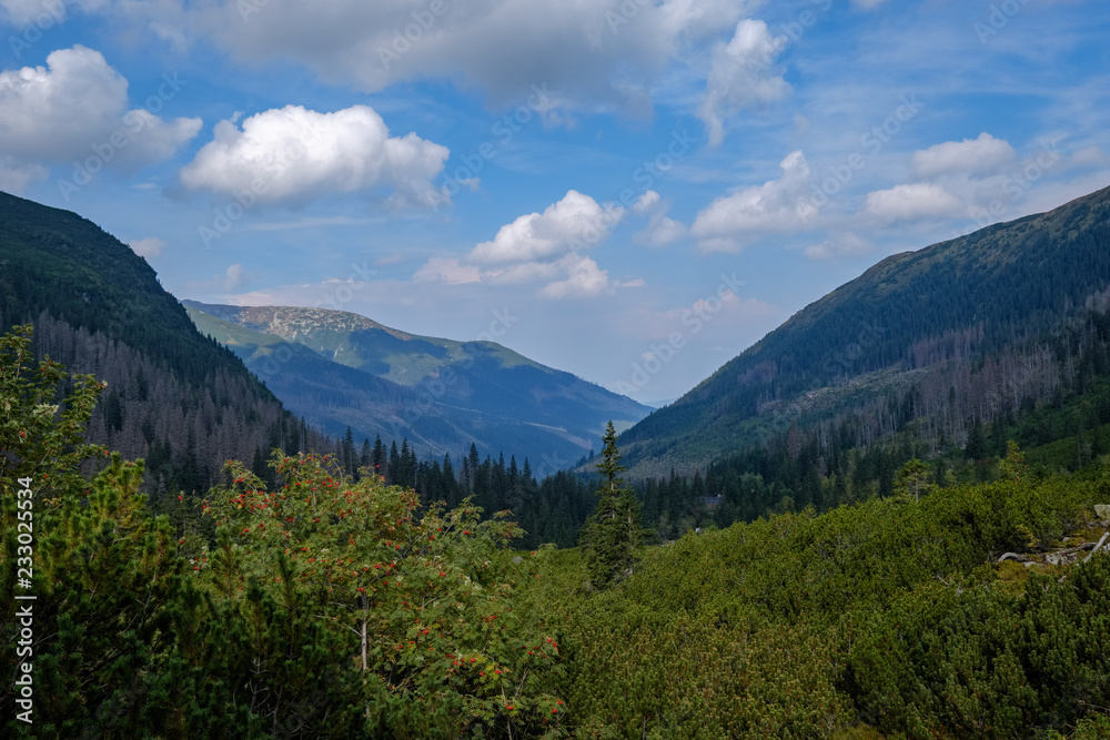 western carpathian Tatra mountain skyline with green fields and forests in foreground