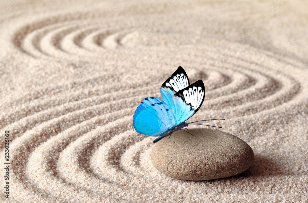 Φωτογραφία A blue vivid butterfly on a zen stone with circle patterns in the grain sand