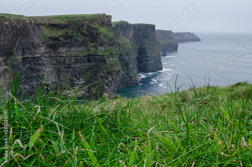 green grass with cliffs of moher in the background