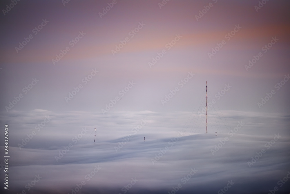 foggy morning on field